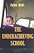 The Underachieving School