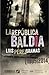 La República baldía. Crónica de una falacia revolucionaria by Luis Pérez Oramas