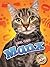 Manx (Cool Cats, Blastoff! Readers)