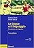 Le lingue e il linguaggio: Introduzione alla linguistica