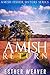 Amish Return (Amish Fisher Sisters #2)