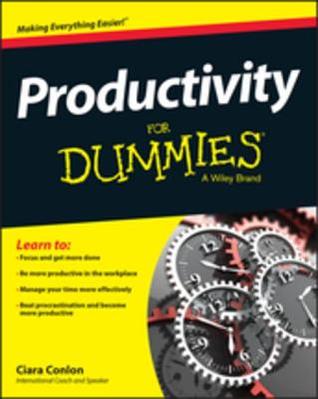 Productivity for Dummies (Kindle Edition)