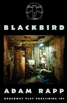 Blackbird (Paperback)