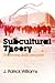 Subcultural Theory: Traditions and Concepts