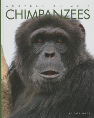 Chimpanzees (Amazing Animals)