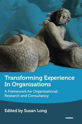 Transforming Experience in Organisations: A Framework for Organisational Research and Consultancy (Paperback)
