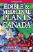 Edible and Medicinal Plants of Canada by Andy MacKinnon Edible and Medicinal Plants of Canada by Andy MacKinnon