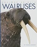 Walruses