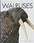 Walruses (Amazing Animals)