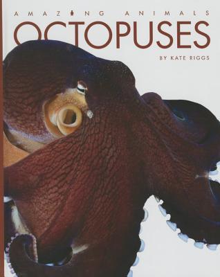 Octopuses (Amazing Animals)