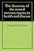 The Anatomy of the central nervous organs in health and disease