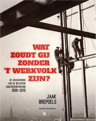 Wat zoudt gij zonder 't werkvolk zijn? De geschiedenis van de Belgische arbeidersbeweging 1830-2015 (Paperback)