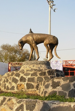 Una casa llena de insectos (Audiobook)