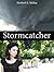 Stormcatcher