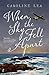 When the Sky Fell Apart