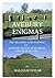 Avebury Enigmas by Malcolm Taylor