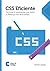 CSS Eficiente: Técnicas e ferramentas que fazem a diferença nos seus estilos (Portuguese Edition)