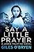 Say A Little Prayer (James Palatine Thriller #2)