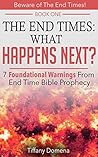 The End Times: What Happens Next?: 7 Foundational Warnings From End Time Bible Prophecy (Beware of The End Times! Book 1)