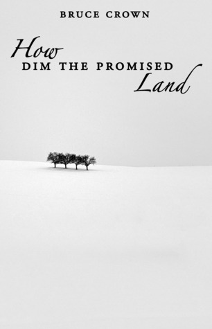 How Dim the Promised Land (Paperback)