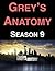 Grey's Anatomy: Season 9
