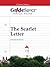 GradeSaver (TM) ClassicNotes The Scarlet Letter: Study Guide