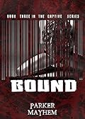 Bound: Captive Bk 3