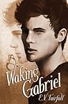 Waking Gabriel (Sleeping Tom #2)