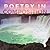 Poetry in Composition: A Coffee Table Book of Poetry and Photos