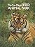 The San Diego wild animal park