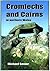 Cromlechs and Cairns in northern Wales by Michael Senior