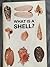 What is a Shell?