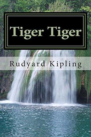 Tiger Tiger (Paperback)
