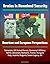 Armies in Homeland Security: American and European Perspectives - Terrorism, UK Armed Forces, Germany's Military, NATO, Ukrainian, Romania, France, Hungary, Italy, Austria, Bulgaria, Soviet Legacy, EU