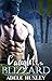 Caught by the Blizzard (Tellure Hollow #1)