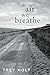 The Air We Breathe: A Novel