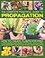 The Complete Practical Guide To Propagation