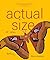 Actual Size