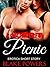 Erotica:: A Wonderful Picnic (Erotica Short Stories, Erotica Taboo, Erotica for Women, Erotica Romance)