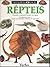 Répteis (Enciclopédia Visual, #30)