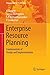 Enterprise Resource Planning: Fundamentals of Design and Implementation (Management for Professionals)