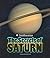 The Secrets of Saturn by Kassandra Radomski
