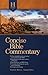 Holman Concise Bible Commentary by David S. Dockery