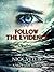 Follow the Evidence (A Mac Everett Mystery Book 2)