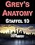 Grey's Anatomy: Staffel 10