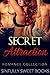 ROMANCE: Secret Attraction: (AMAZING VALUE BONUS OF 40+ FREE BOOKS!!!) (Contemporary New Adult Pregnancy Threesome Romance Short Stories)