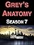 Grey's Anatomy: Season 7