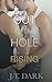 Out Of the Hole: Book 1 Rising