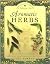 Aromatic Herbs: How to Use ...