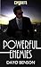 Powerful Enemies by Dayo Benson